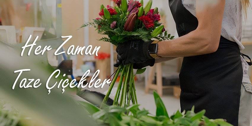 Gelin Arabası Süsleme